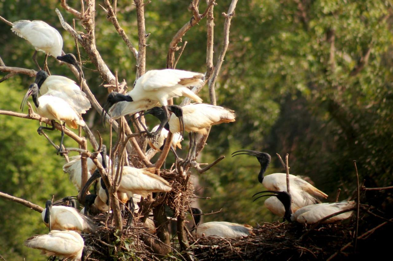 Wasgamu Safari Lodge Wasgamuwa Ngoại thất bức ảnh