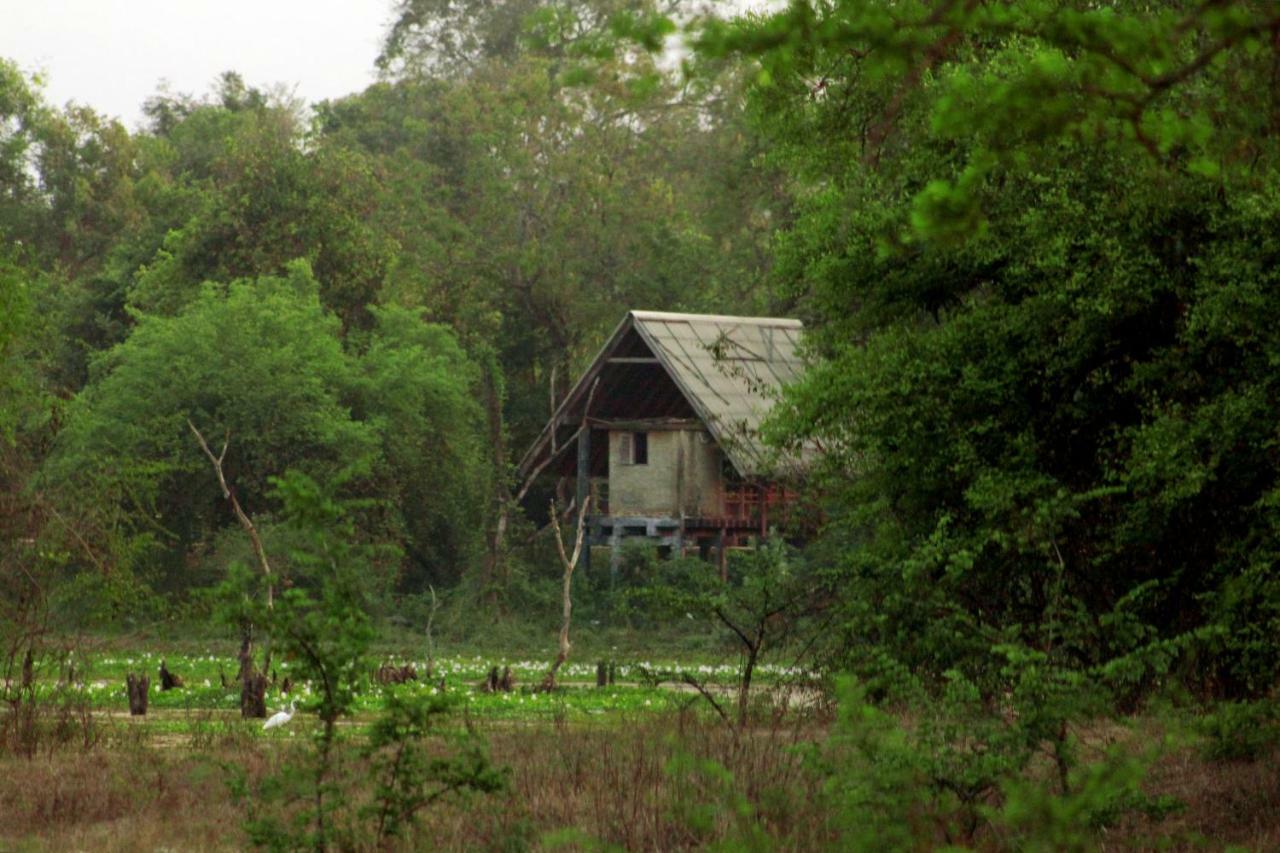 Wasgamu Safari Lodge Wasgamuwa Ngoại thất bức ảnh