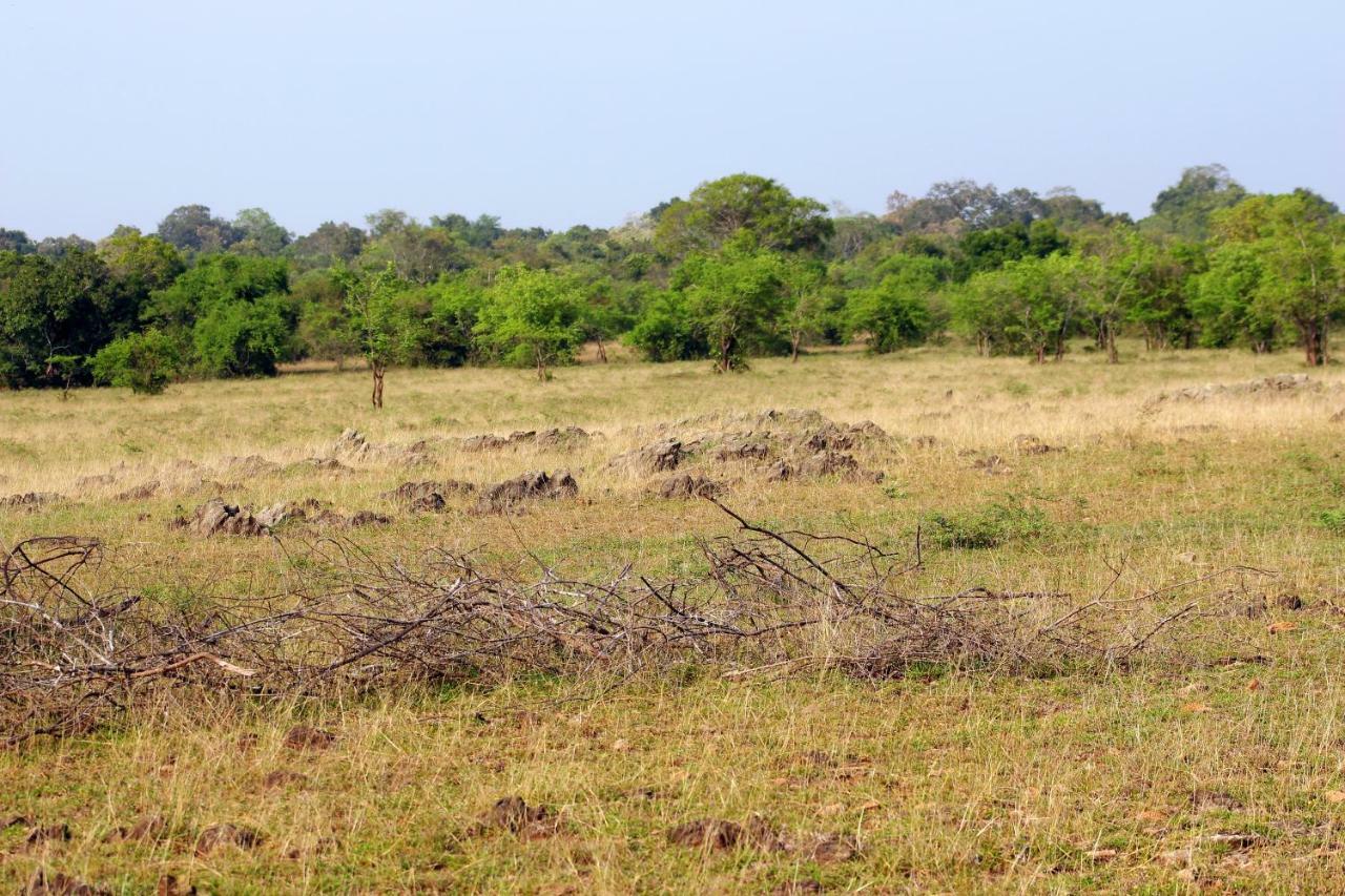 Wasgamu Safari Lodge Wasgamuwa Ngoại thất bức ảnh